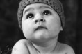 /album/fotogalerie/mg-0709-jpg/